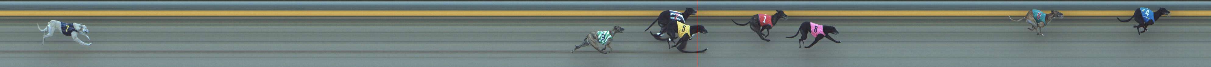 Photo finish for Shepparton Race 8