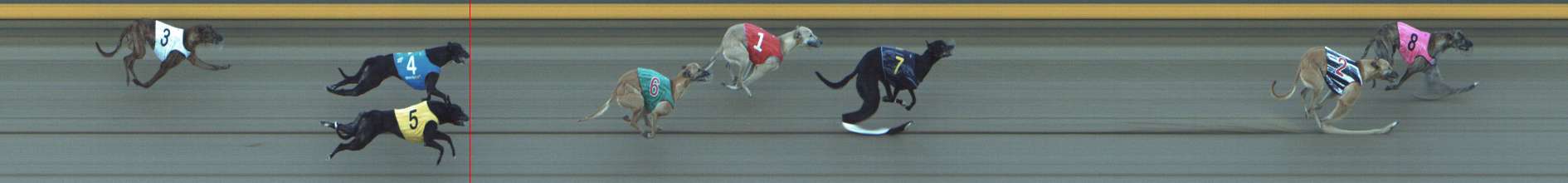 Photo finish for Shepparton Race 9