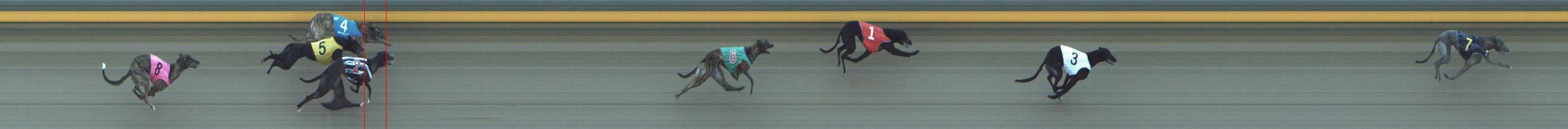 Photo finish for Shepparton Race 10