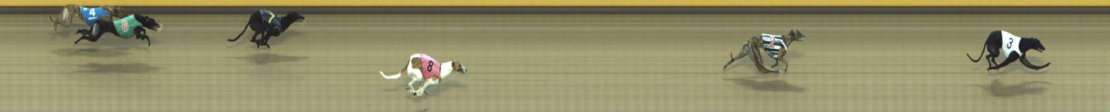 Photo finish for Shepparton Race 11