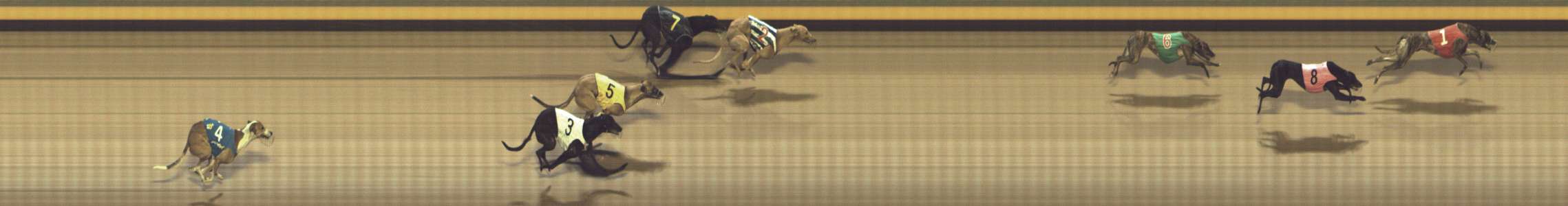 Photo finish for Shepparton Race 13