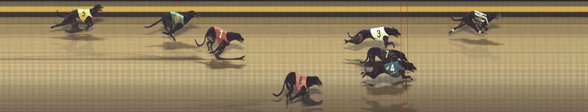 Photo finish for Shepparton Race 14