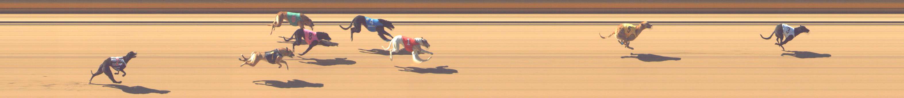 Photo finish for Shepparton Race 1