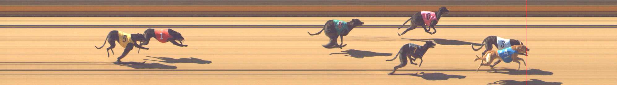 Photo finish for Shepparton Race 2