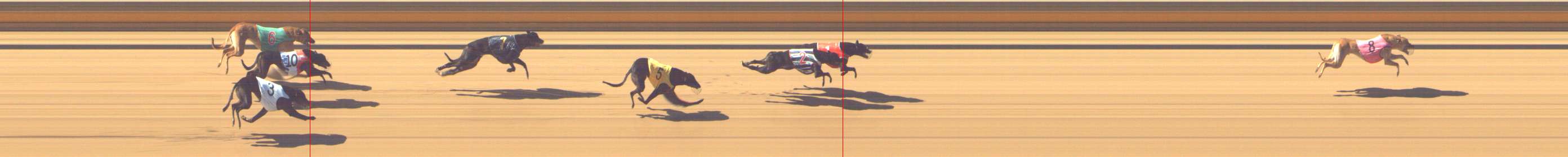 Photo finish for Shepparton Race 3