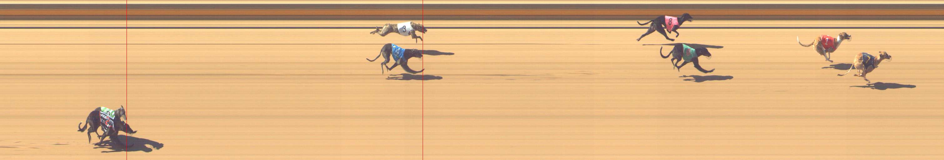 Photo finish for Shepparton Race 4