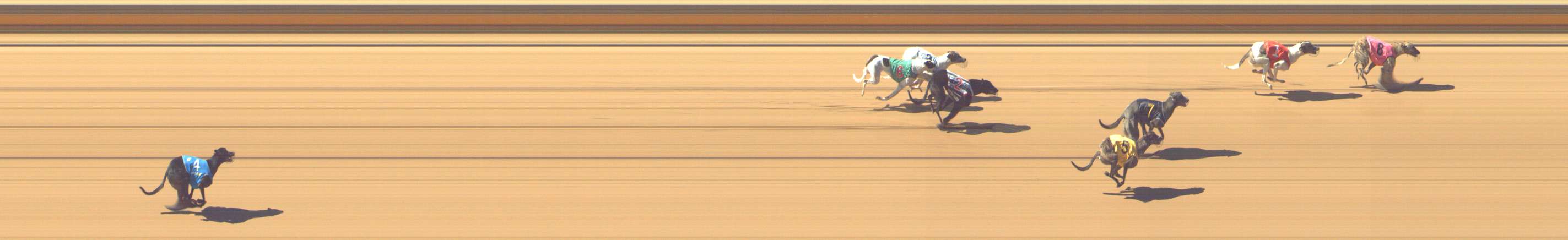 Photo finish for Shepparton Race 5