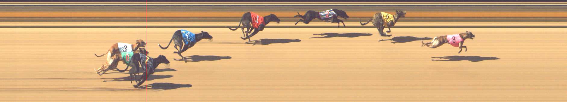 Photo finish for Shepparton Race 6