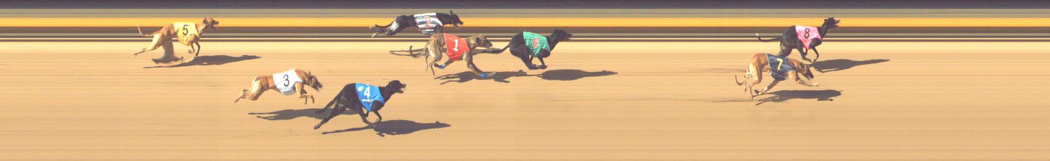 Photo finish for Shepparton Race 8