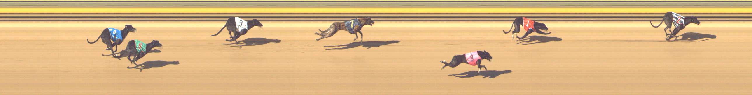 Photo finish for Shepparton Race 9