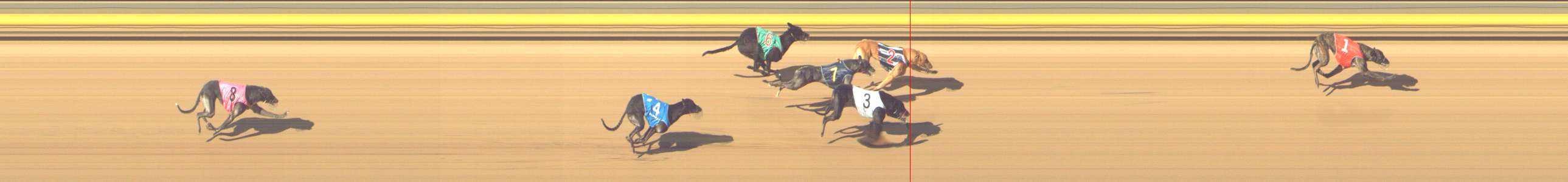 Photo finish for Shepparton Race 10