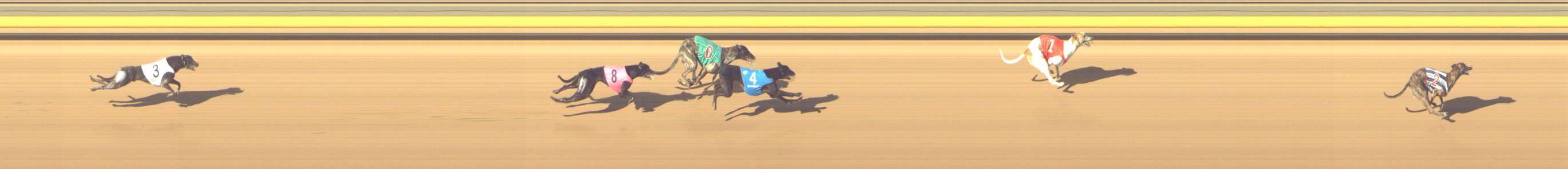 Photo finish for Shepparton Race 11