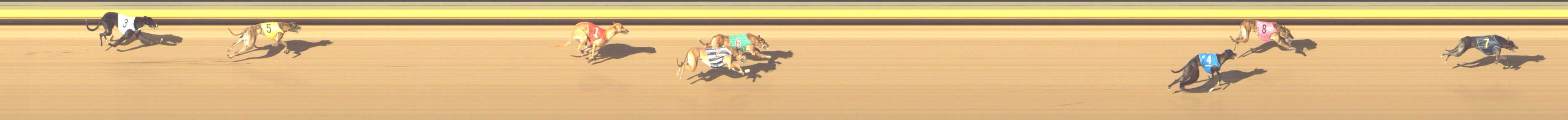 Photo finish for Shepparton Race 12