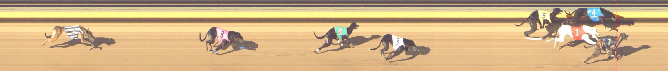 Photo finish for Shepparton Race 13