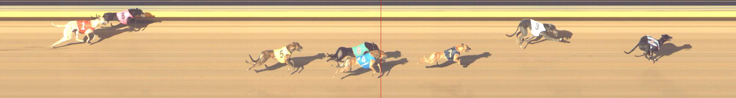 Photo finish for Shepparton Race 14