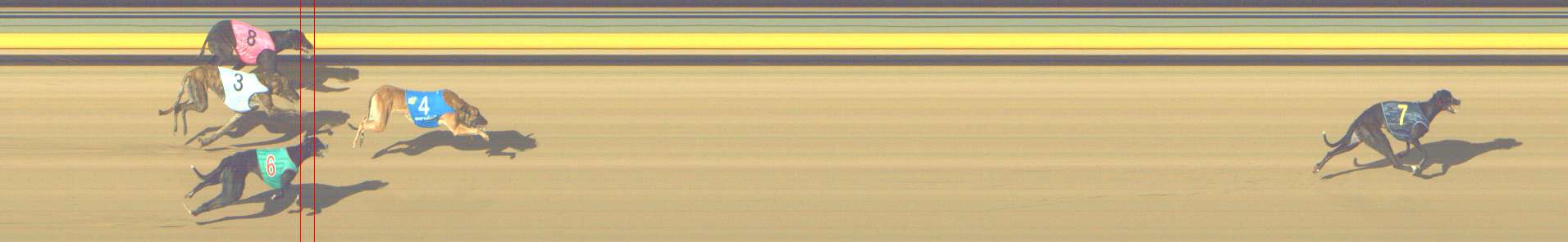 Photo finish for Shepparton Race 1