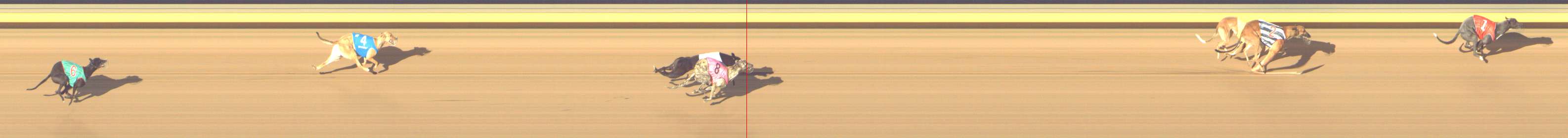 Photo finish for Shepparton Race 3