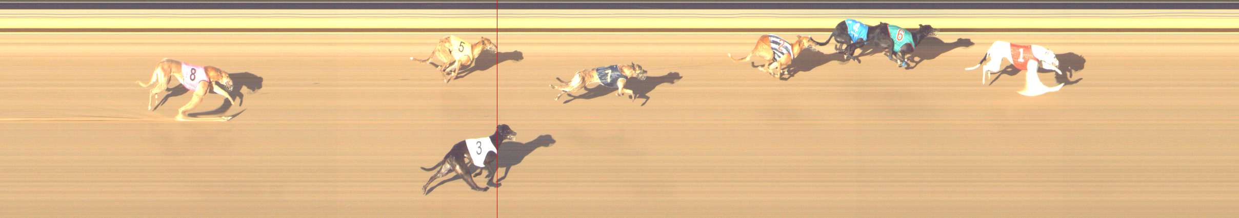 Photo finish for Shepparton Race 4