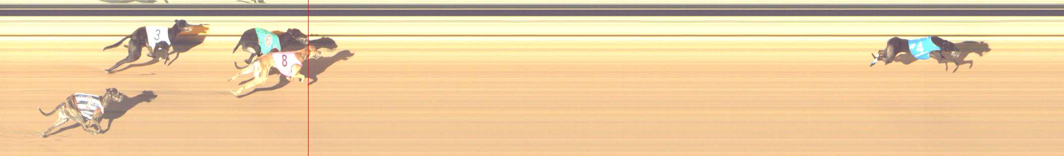 Photo finish for Shepparton Race 5