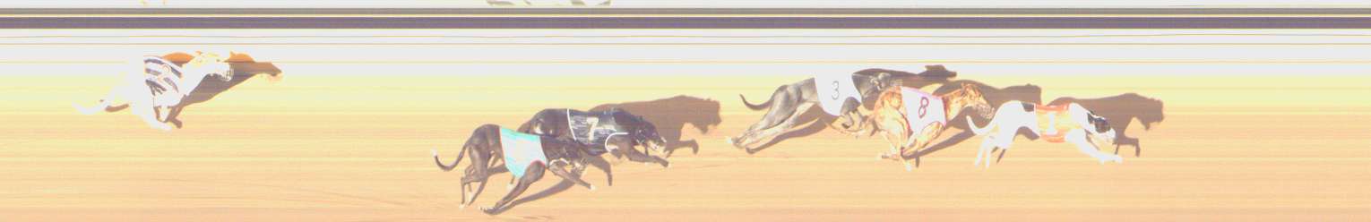 Photo finish for Shepparton Race 6