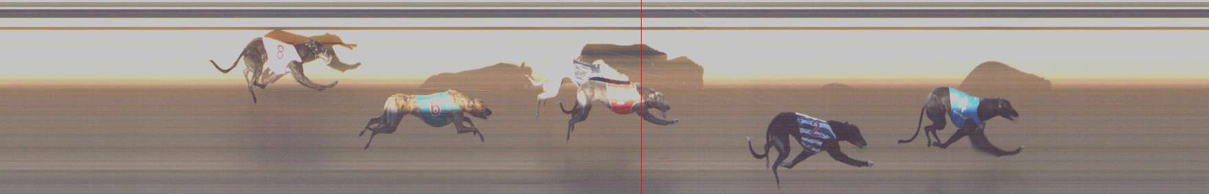 Photo finish for Shepparton Race 7