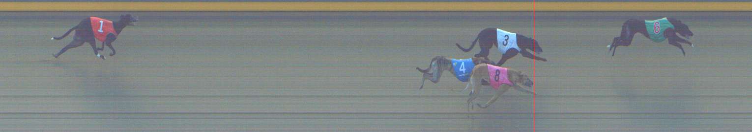 Photo finish for Shepparton Race 8