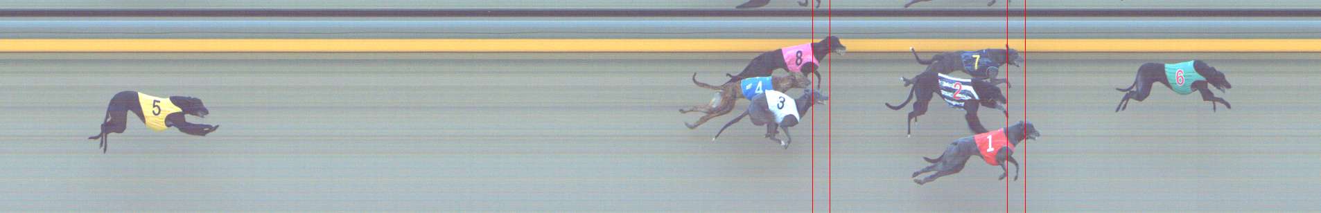 Photo finish for Shepparton Race 10