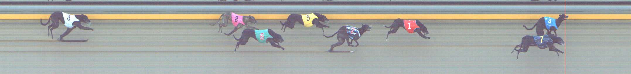 Photo finish for Shepparton Race 11