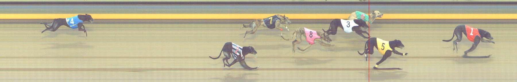 Photo finish for Shepparton Race 12