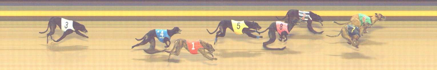 Photo finish for Shepparton Race 13