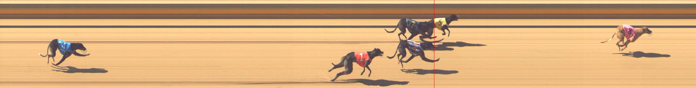 Photo finish for Shepparton Race 1