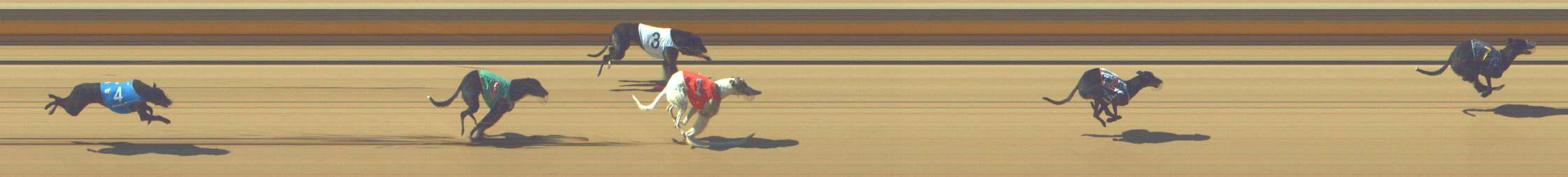 Photo finish for Shepparton Race 2