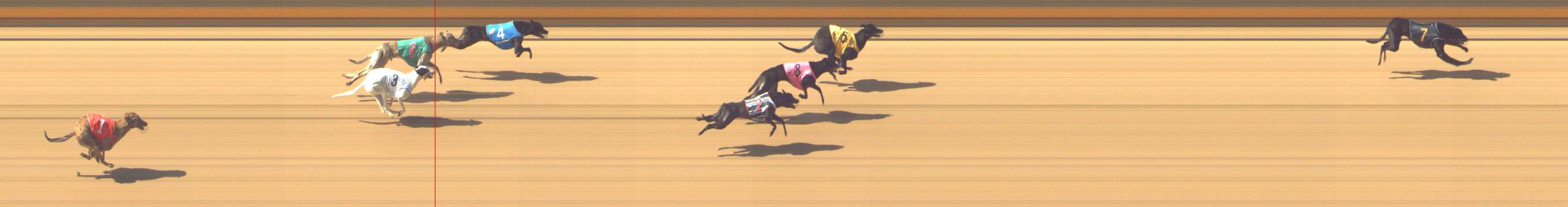 Photo finish for Shepparton Race 3