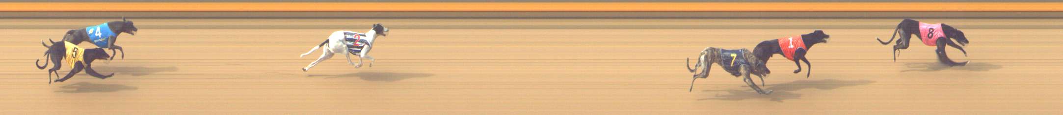 Photo finish for Shepparton Race 4