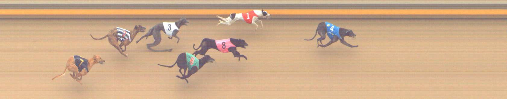 Photo finish for Shepparton Race 6