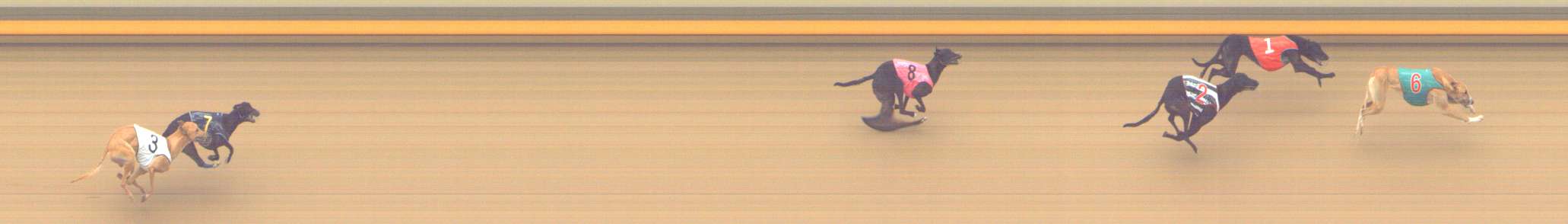 Photo finish for Shepparton Race 7
