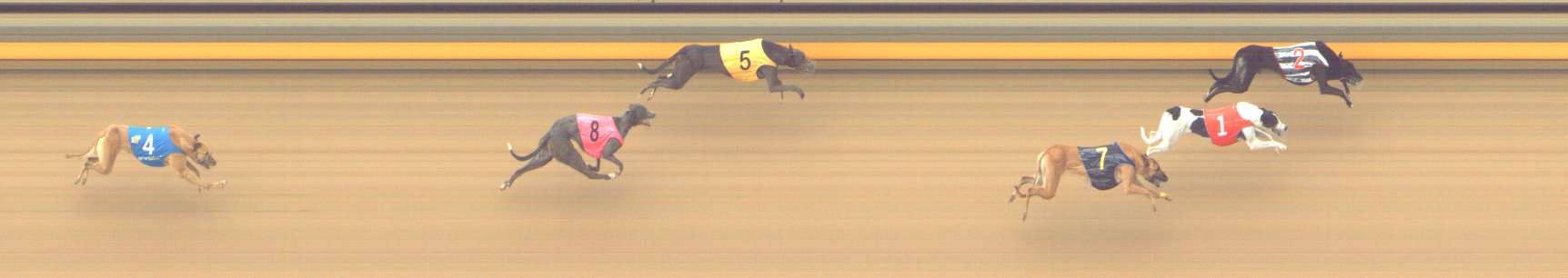Photo finish for Shepparton Race 8