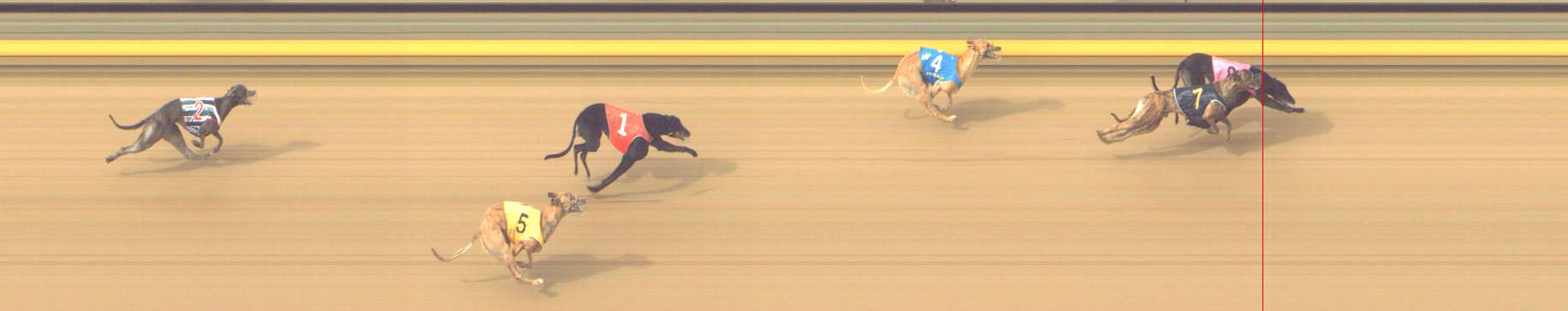 Photo finish for Shepparton Race 9