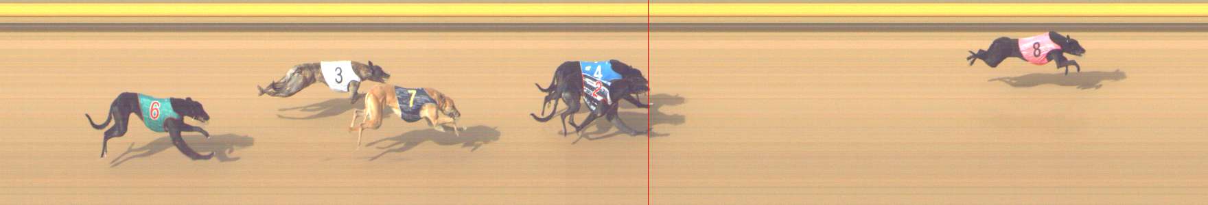 Photo finish for Shepparton Race 10
