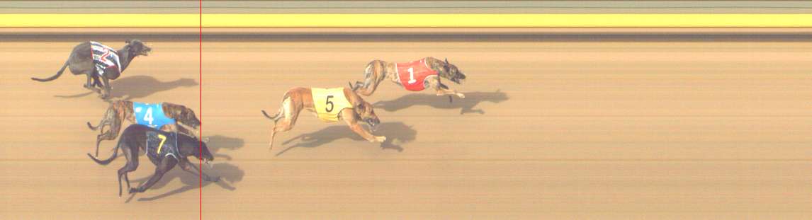 Photo finish for Shepparton Race 11