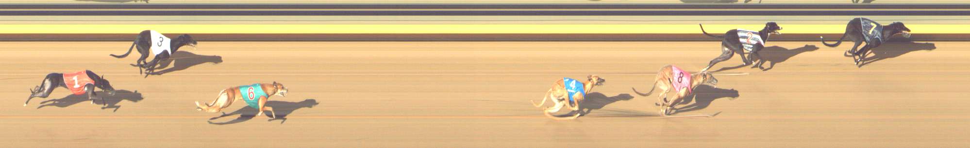 Photo finish for Shepparton Race 12