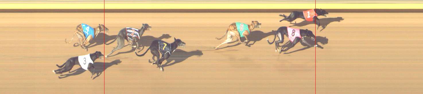 Photo finish for Shepparton Race 13