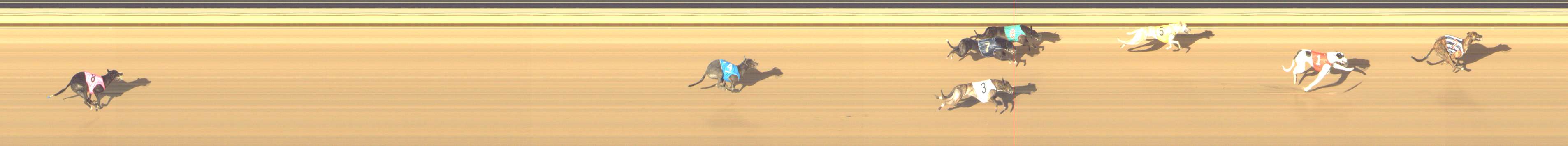 Photo finish for Shepparton Race 14