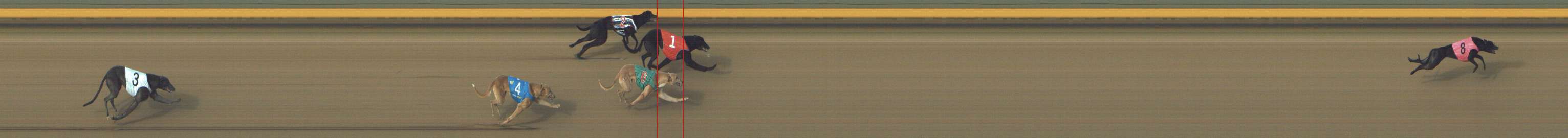 Photo finish for Shepparton Race 1