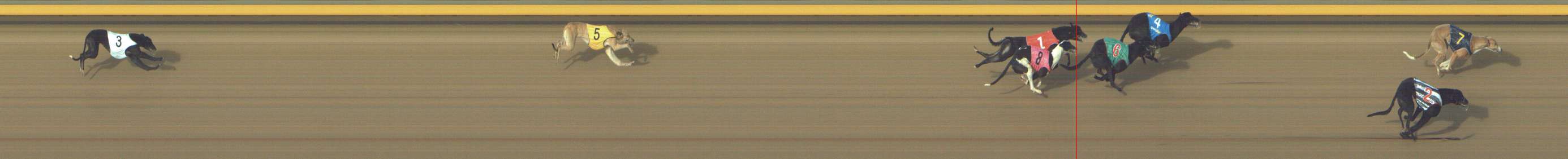 Photo finish for Shepparton Race 2