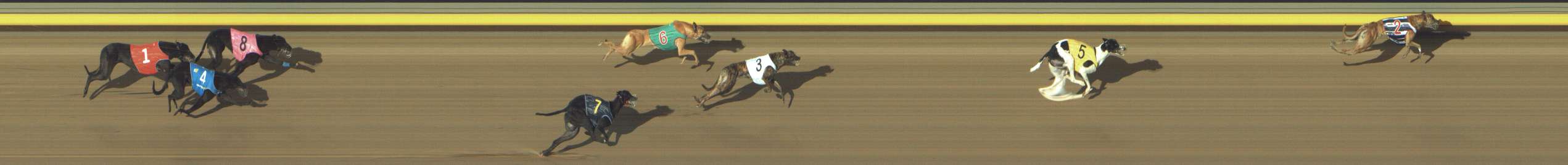 Photo finish for Shepparton Race 3