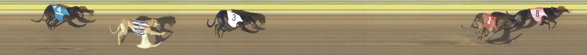 Photo finish for Shepparton Race 5