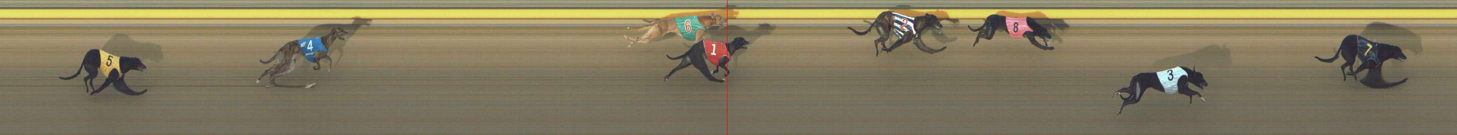 Photo finish for Shepparton Race 6