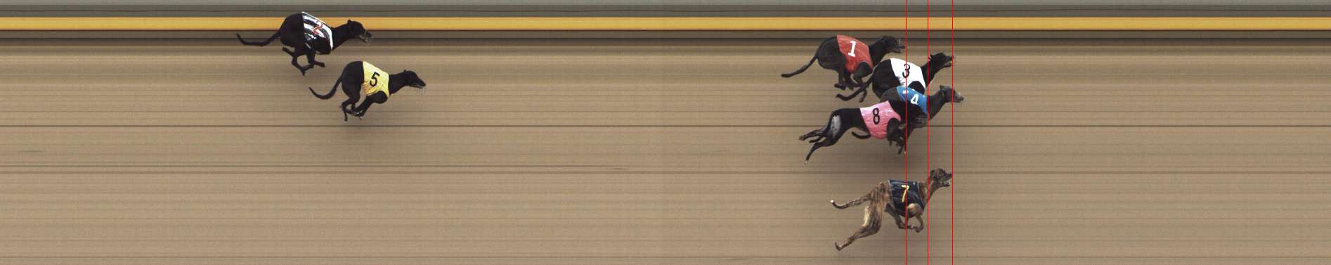 Photo finish for Shepparton Race 7