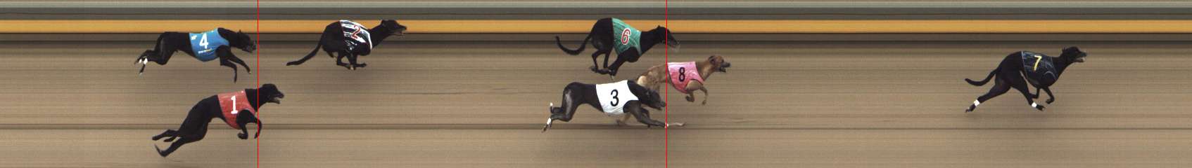 Photo finish for Shepparton Race 8